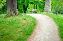path through a green park 