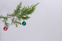 pine branch with Christmas ornaments 