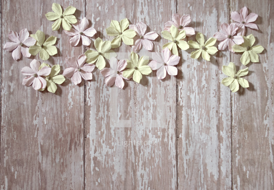 pink and yellow flowers on wood boards 