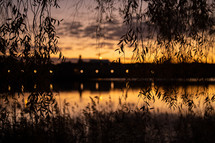 silhouettes of low hanging branches at sunset in front of a pond 