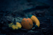 gourds on a black background 