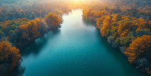 Aerial view of autumn forest and lake in sunny day. Top view