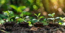 Young plant seedling growing in peat pots on green nature background