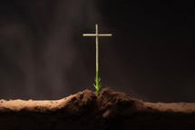 Cross in the soil with a green sprout on a dark background