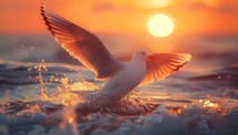 Seagull flying over the sea at sunset. Beautiful seascape