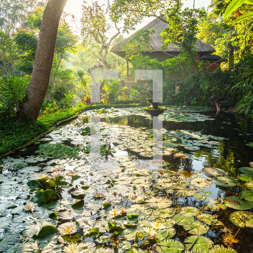 garden and fish pond in Bali 