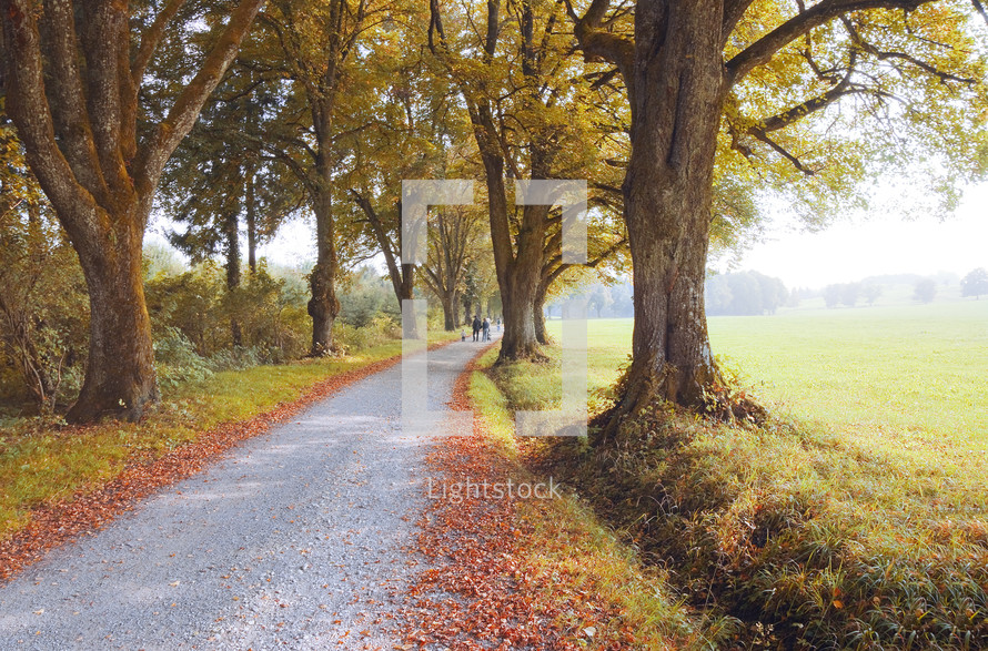 walking down a rural autumn road 