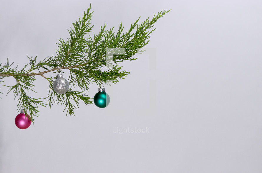 pine branch with Christmas ornaments 