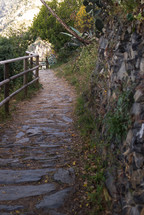 Stone pathway with a wooden railing next to a rock wall.