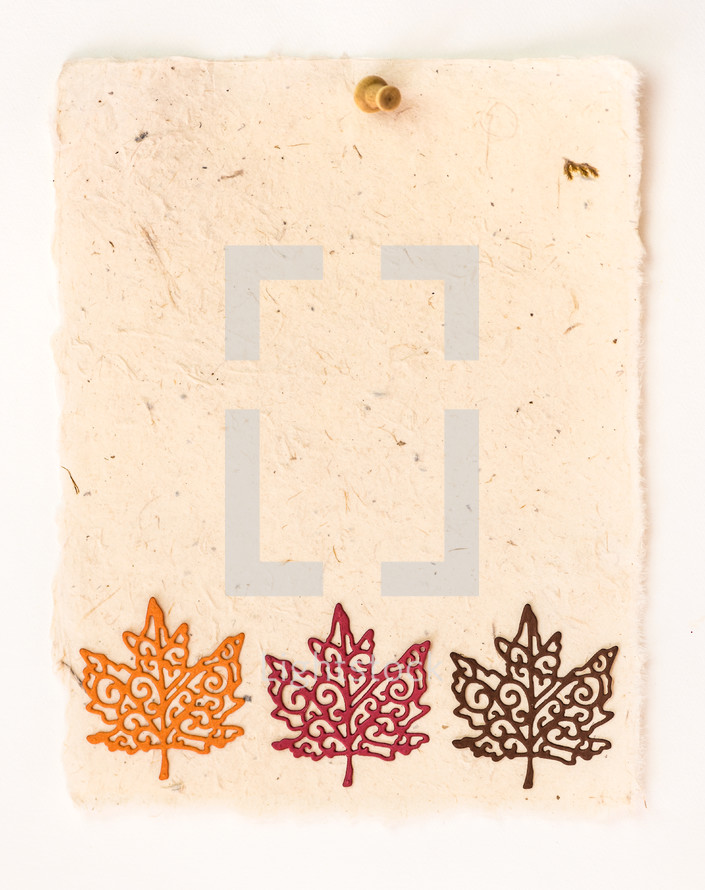 border of fall leaves on a blank piece of paper 