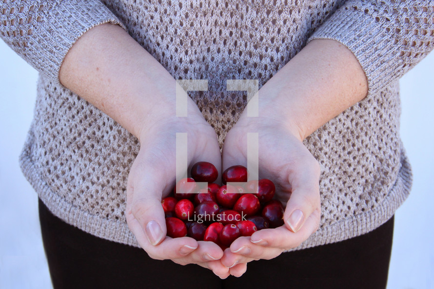 cupped hands holding cranberries 