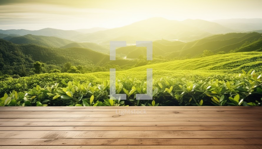 Wooden terrace with green tea plantation at sunrise, stock photo