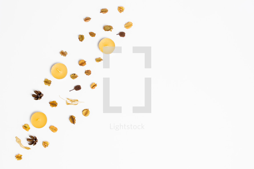 candles and plant pieces on white background 