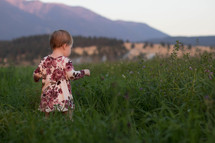 toddler girl walking through a meadow 
