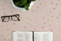 reading glasses, open Bible, and potted plant on a desk 