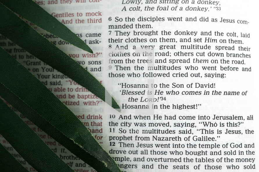 "Hosanna to the Son of David! Blessed is He who comes in the name of the Lord!"