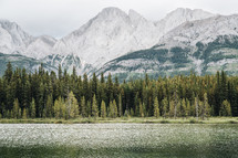 forest across a river and mountain peaks 