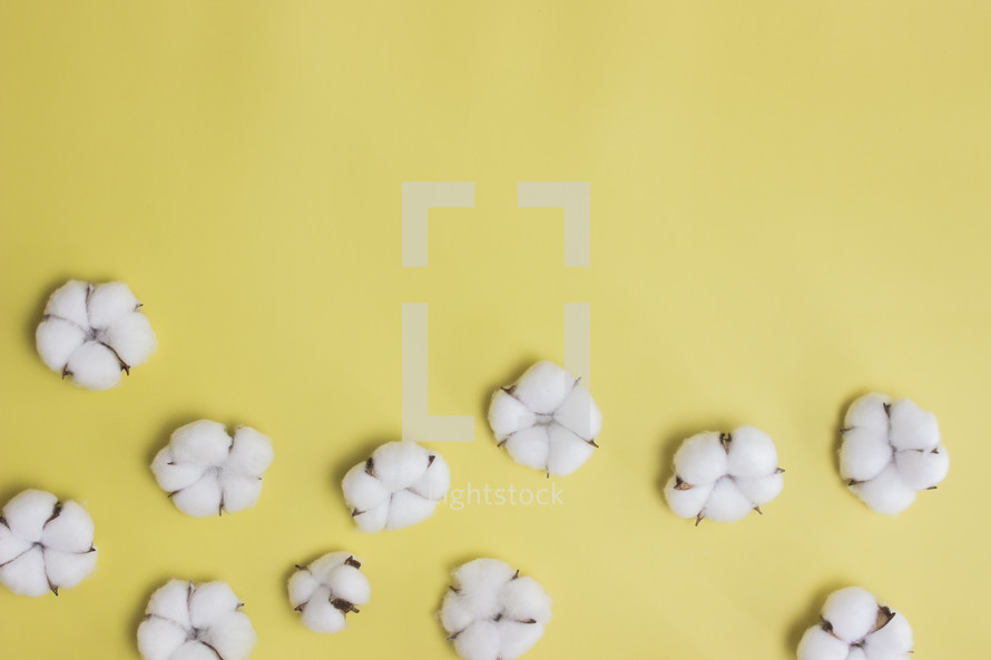cotton on a yellow background 
