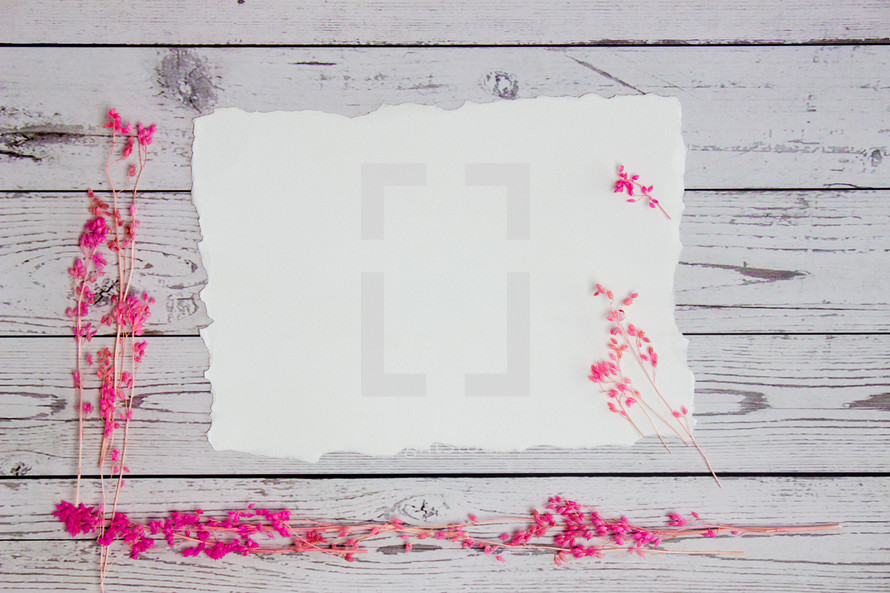 blank paper and pink flowers 
