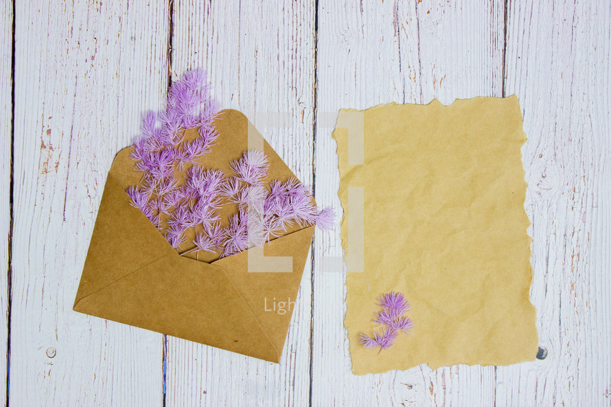 purple flowers in an envelope and blank paper 
