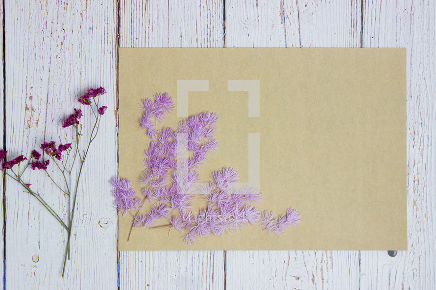 blank paper and purple flowers 