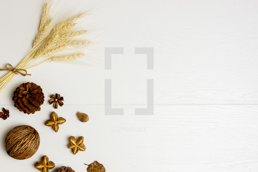 wheat, pine cones, and cloves on a white background 