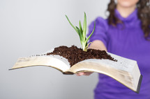 an aloe plant and soil on the pages of a Bible - God's word heals the soul