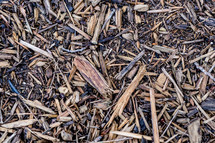 Wood chips.