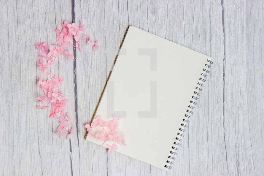 pink flower petals and blank notebooks 