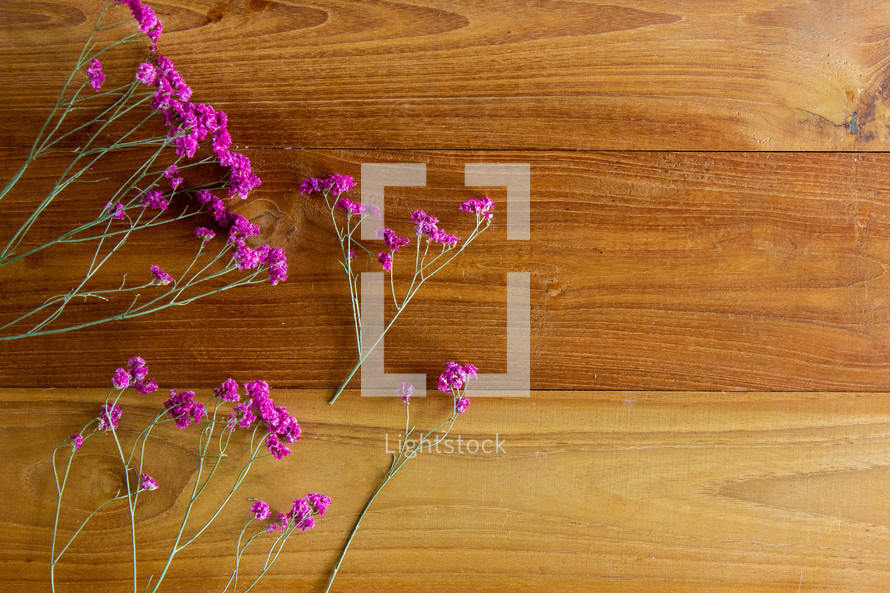 fuchsia flowers on a wood background 