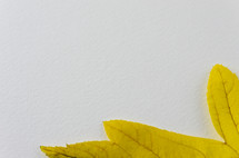 white paper and yellow leaf 