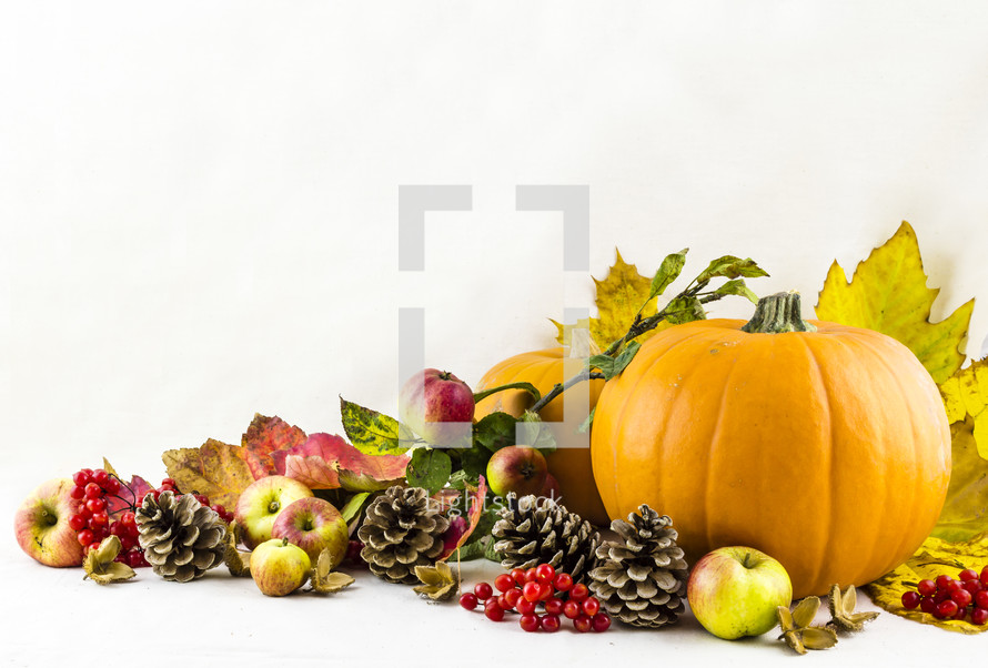 pumpkins, fall, leaves, pine cones, red berries, berries, autumn, fruit, apples 