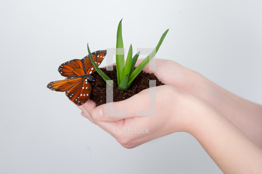 woman holding an aloe plant, soil, and butterfly in her hands