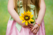 little girl holding a sunflower behind her back