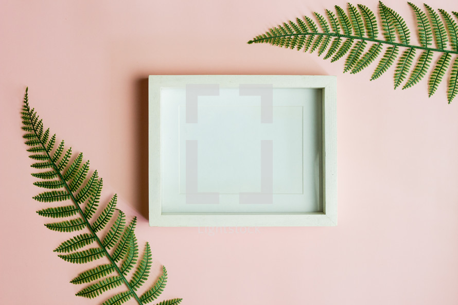 blank frame and green leaves of plants 
