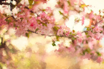 abstract painting style photo of spring blossoms