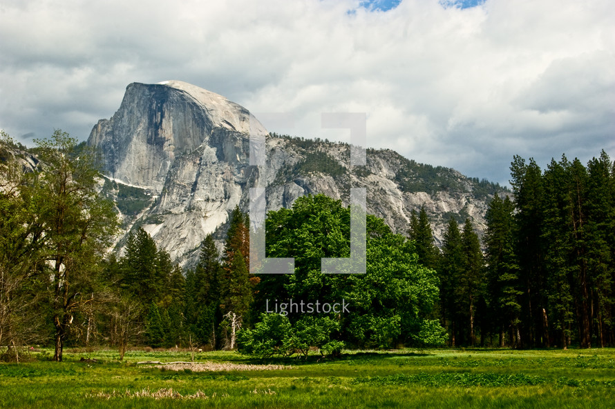 Half dome at Yosemite