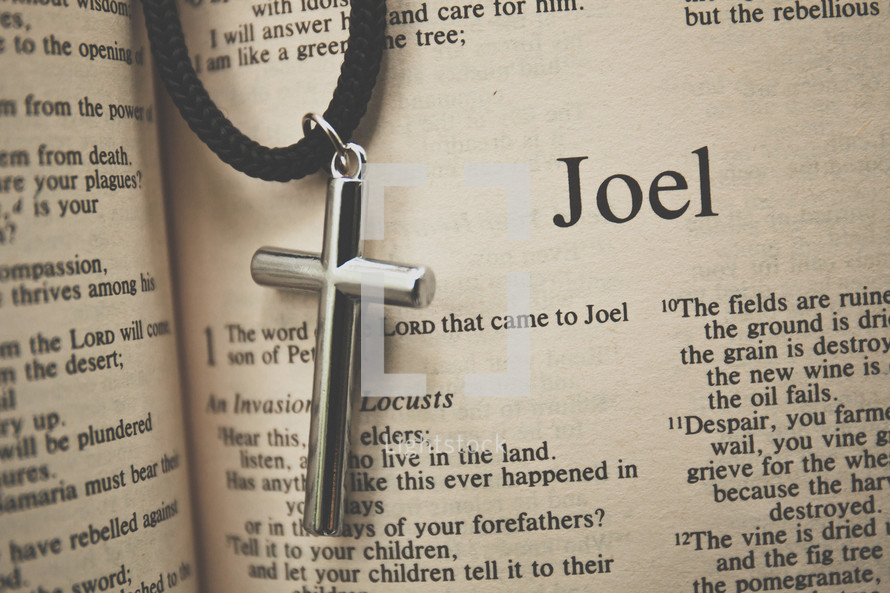 Joel and cross necklace 