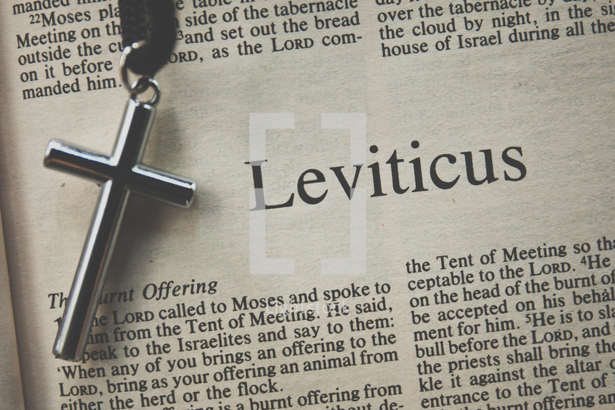Leviticus and a cross necklace 