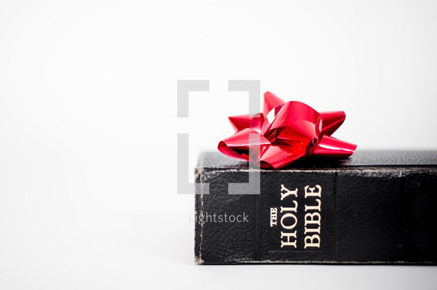 Christmas bow on a Holy Bible 