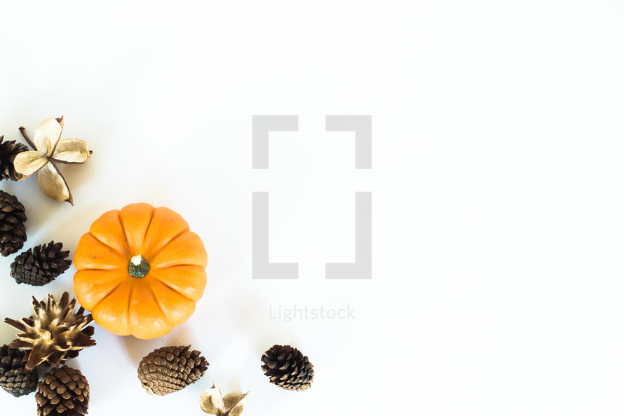 pine cones and pumpkins 