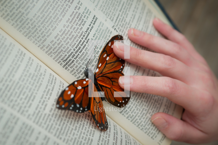 a butterfly resting on the pages of a Bible - peace with God