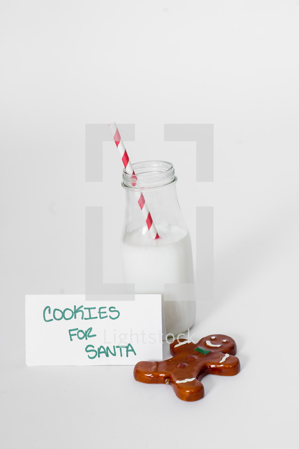 Cookies and Milk for Santa 