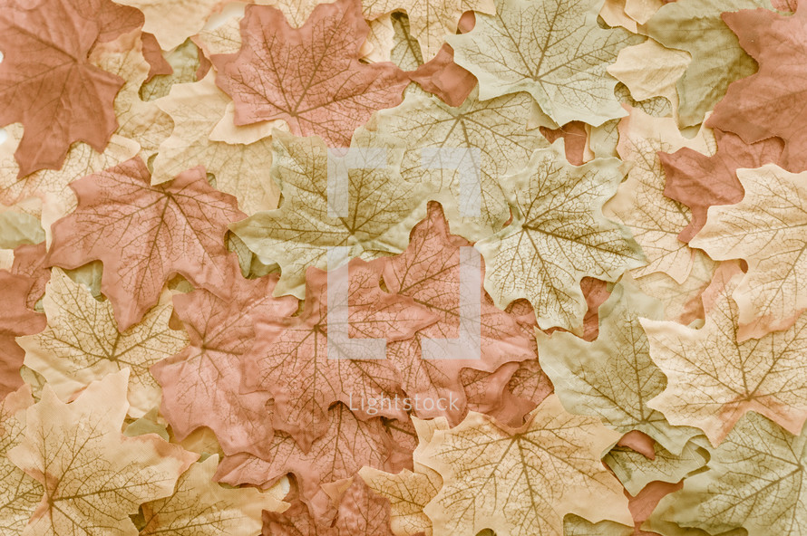 Fall leaves.