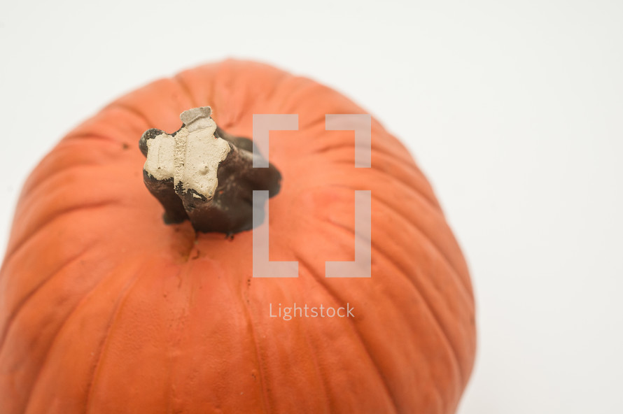 Top of a pumpkin.