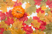 silk fall leaves pumpkin 