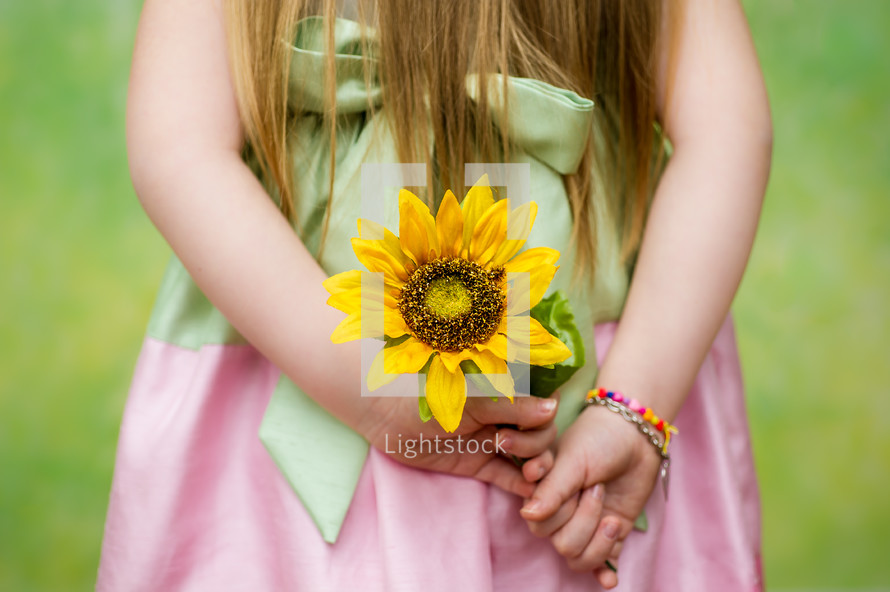 little girl holding a sunflower behind her back