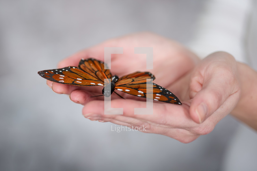 woman holding a butterfly in her hands