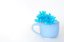 Blue flowers in a blue cup.