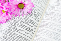 An open Bible with pink flowers laying on it.
